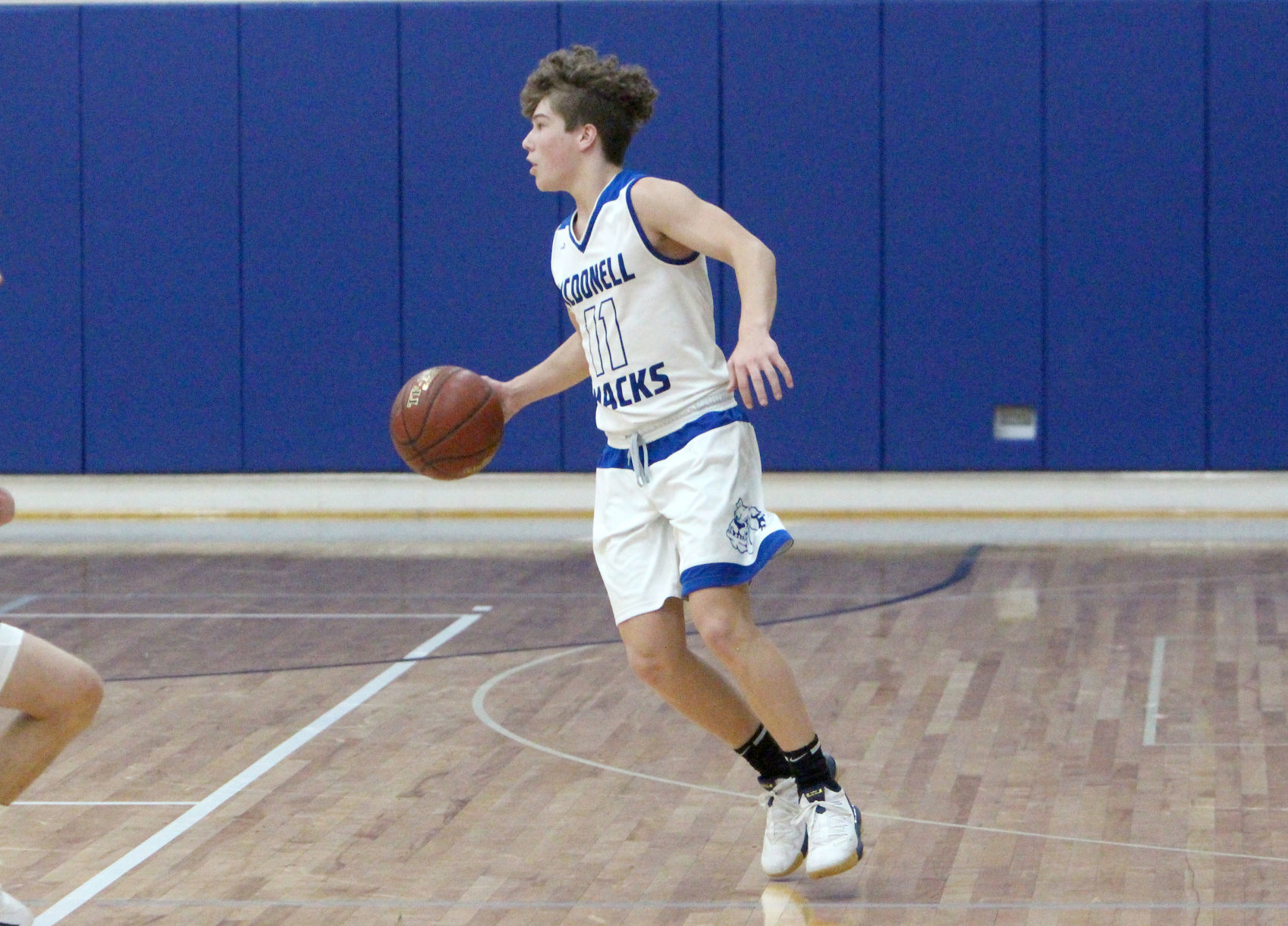 Alma Center Lincoln at McDonell boys basketball 1-18-20